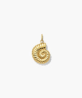 Ammonite Charm
