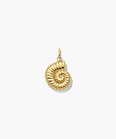 Ammonite Charm