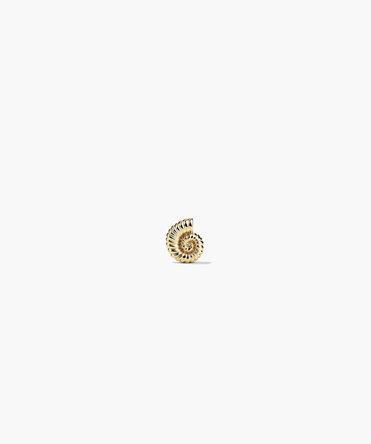 Single Ammonite Mini Stud