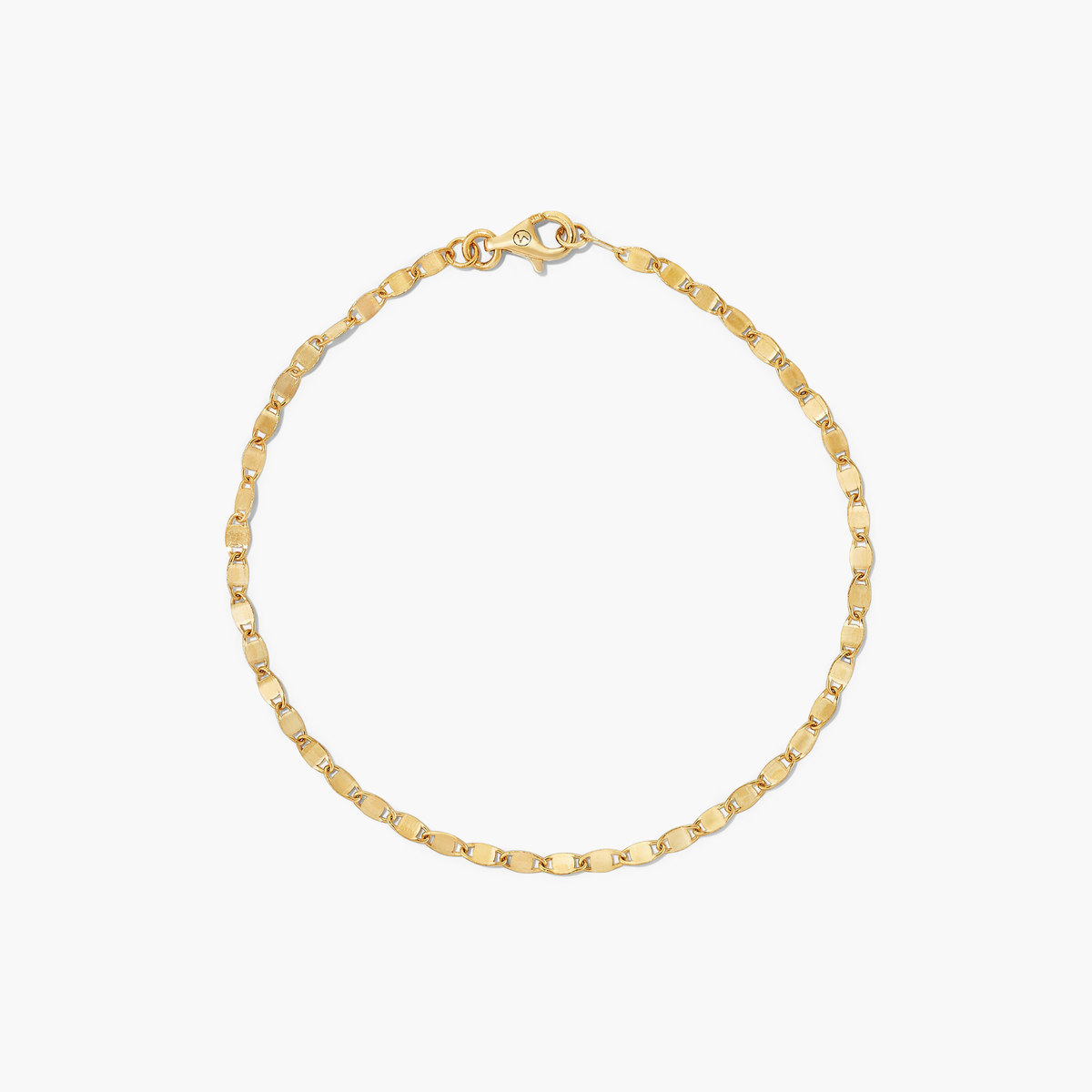 Anchor Chain Anklet