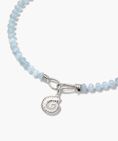 Ammonite Charm